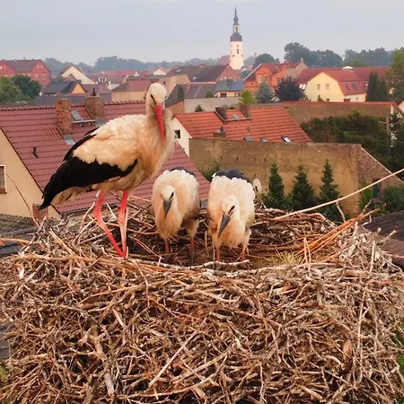 Apartament Im Spreewald