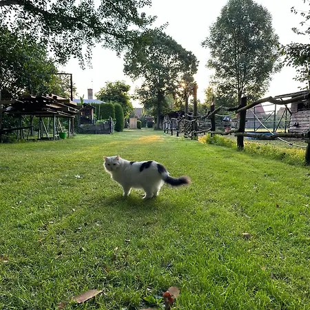 Im Spreewald *
