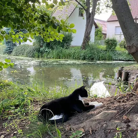 Im Spreewald *