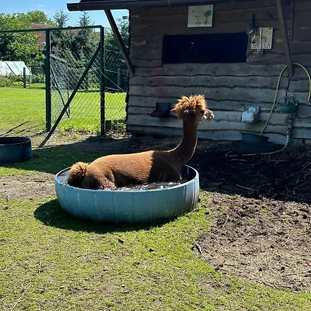 Im Spreewald 아파트 뤼베나우