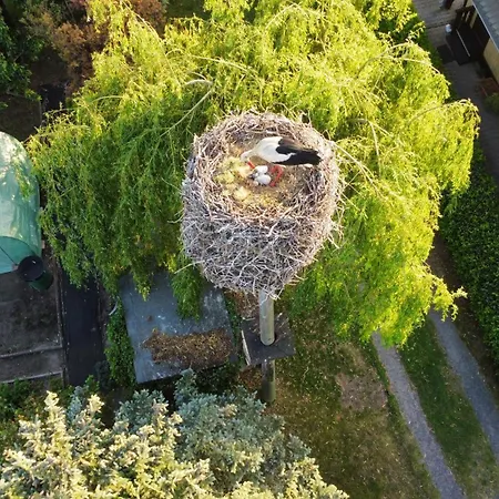 Im Spreewald 아파트 *