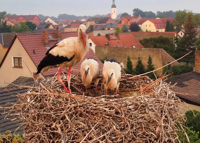 Lejlighed Im Spreewald