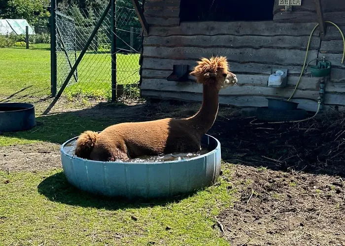 Im Spreewald Lejlighed Lübbenau