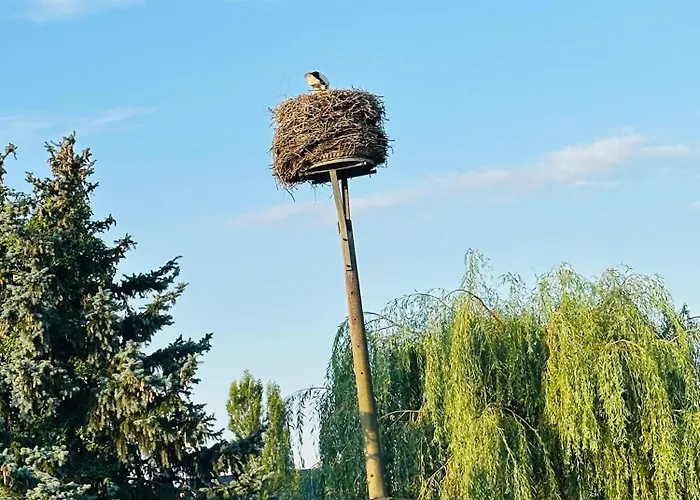 Im Spreewald Lübbenau