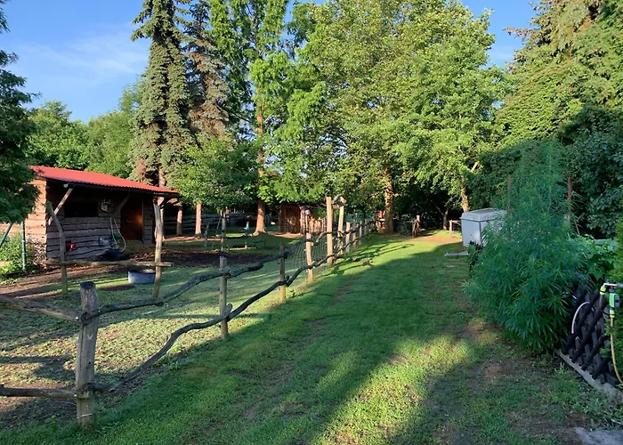 Im Spreewald * Lübbenau