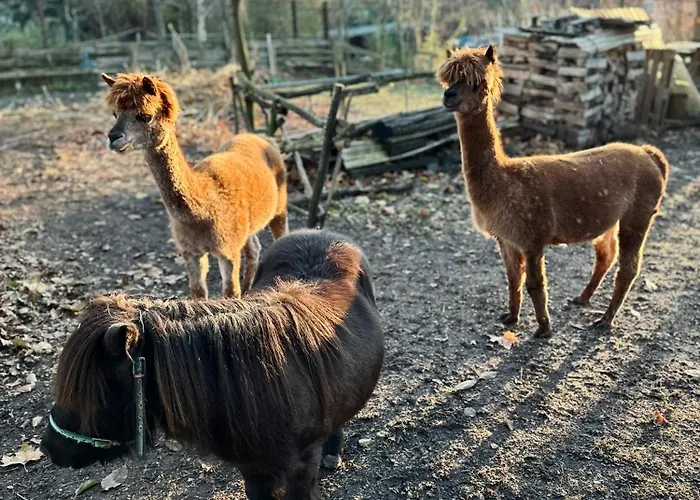 Lejlighed Im Spreewald *