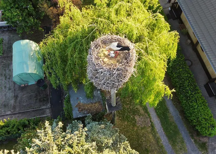 Im Spreewald Lejlighed *